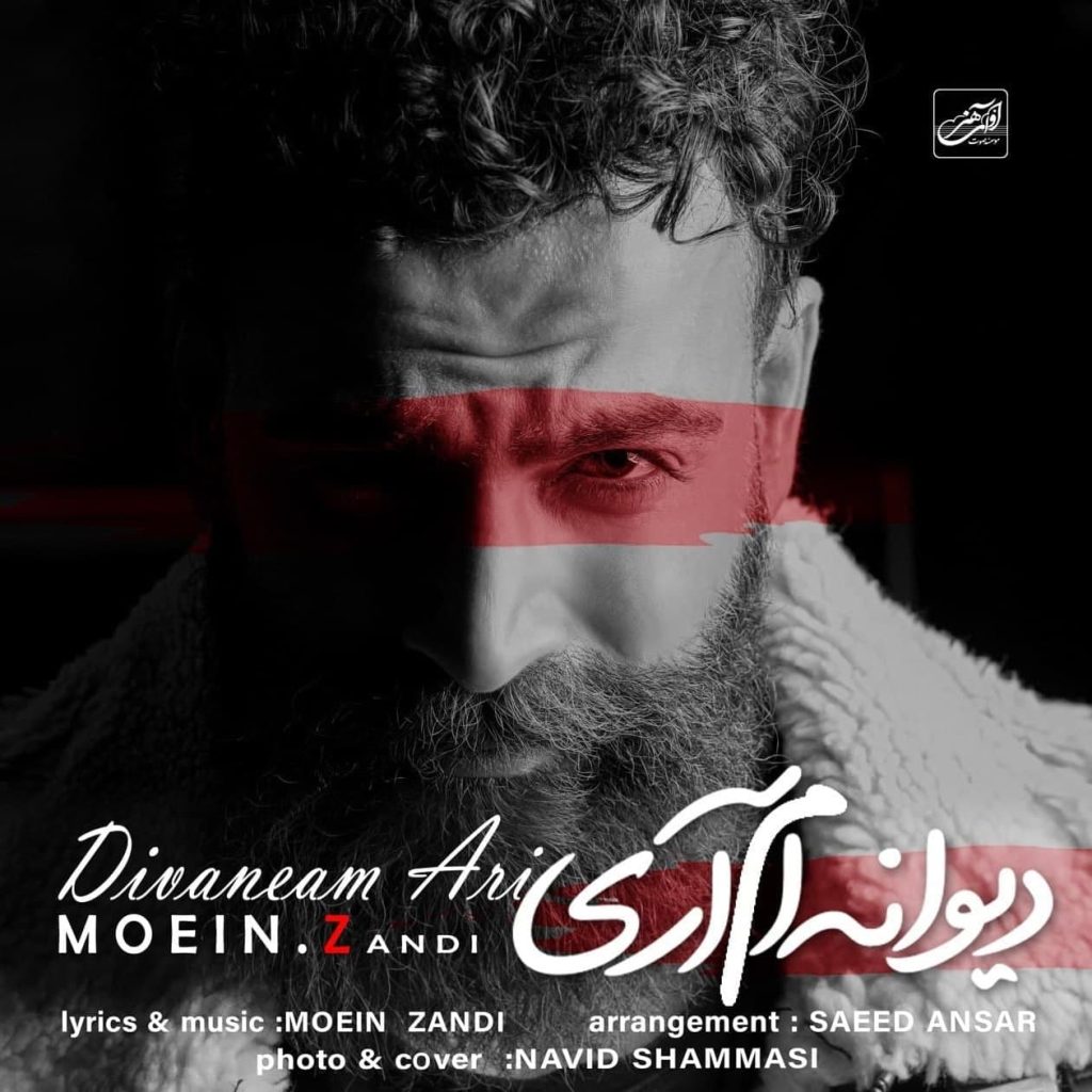 divaneam ari